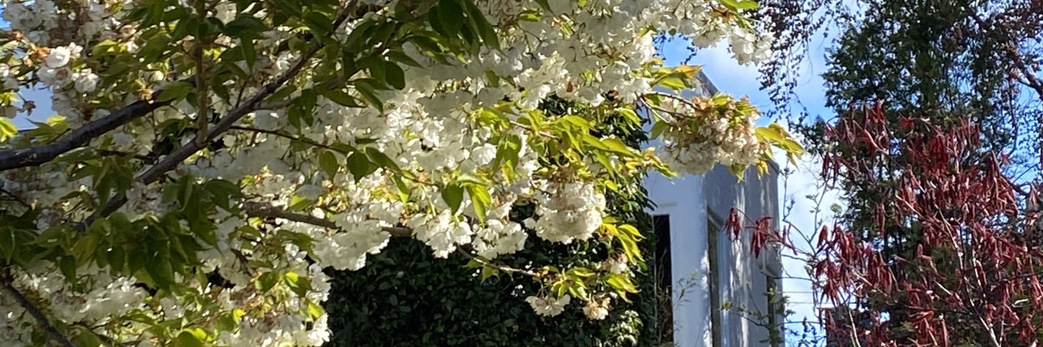 amusem's profile banner image