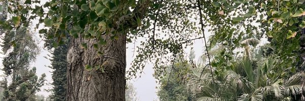 shantiryle Profile Banner