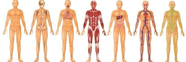 mionnsito Profile Banner