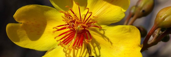 ecowrite Profile Banner