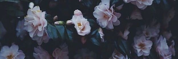 Zuzaa_22's profile banner image