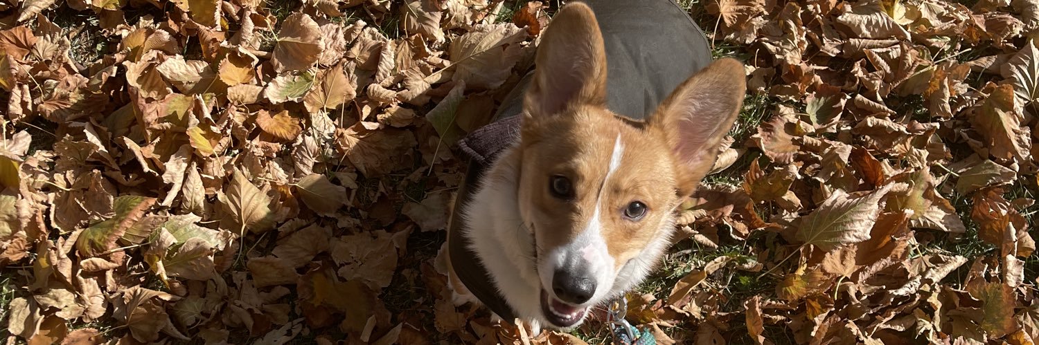 Brave Little Poaster banner