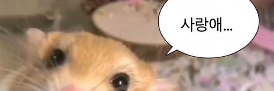 yoandand's profile banner image