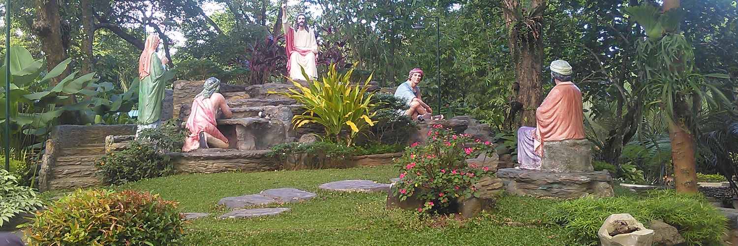 carlpenamora's profile banner image