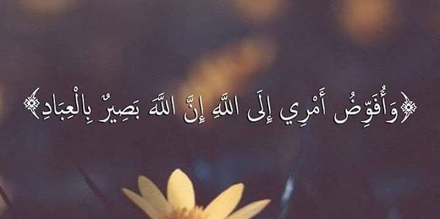 1Massoud's profile banner image
