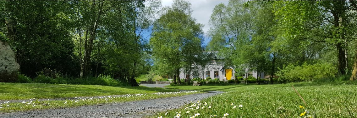 moyriverbnb's profile banner image