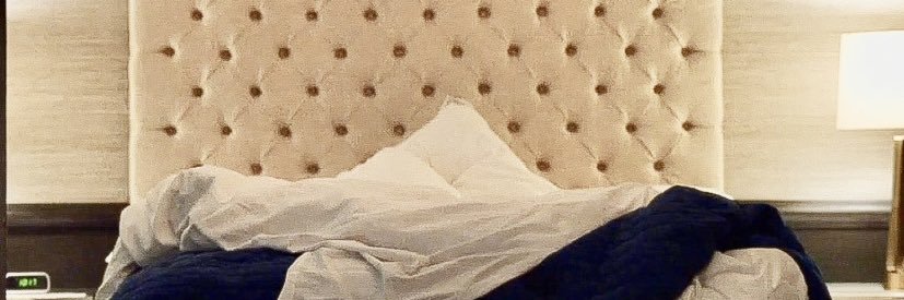 MadlyMegs's profile banner image