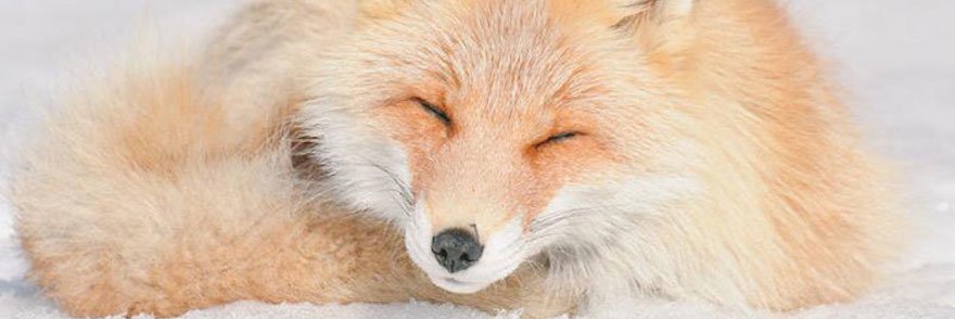 Jenniskjk's profile banner image