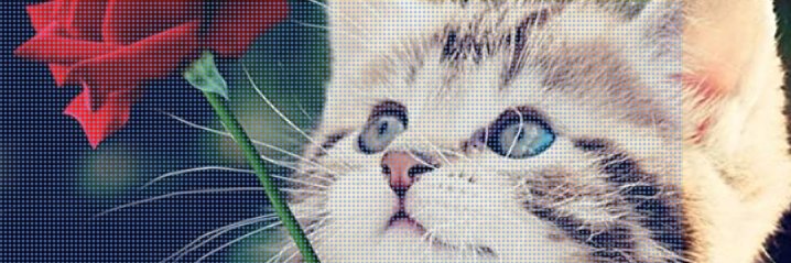 #MacronDestitution Jacques Mitol banner