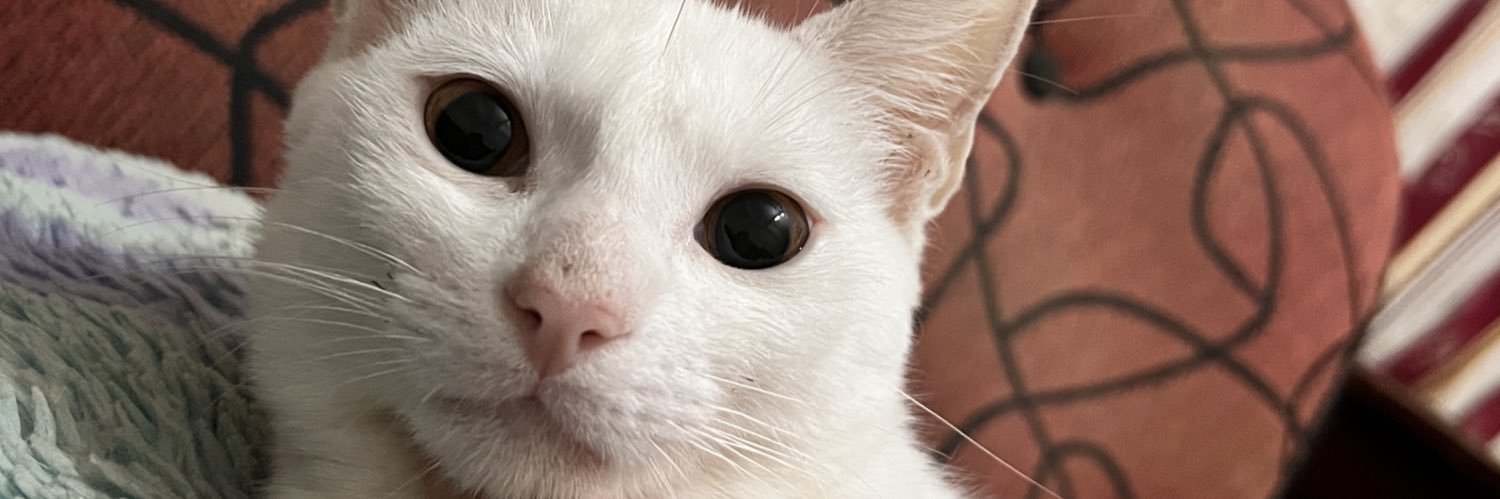fiolevorti's profile banner image