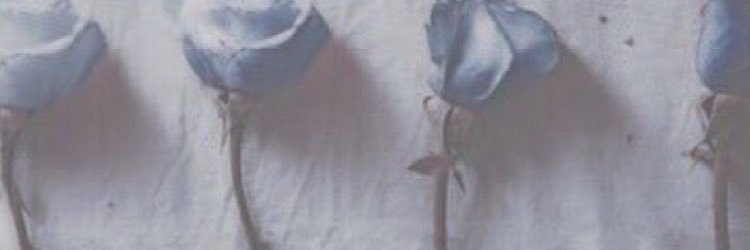 usa_usaoO's profile banner image