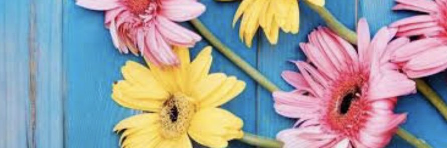 vaicassinha's profile banner image