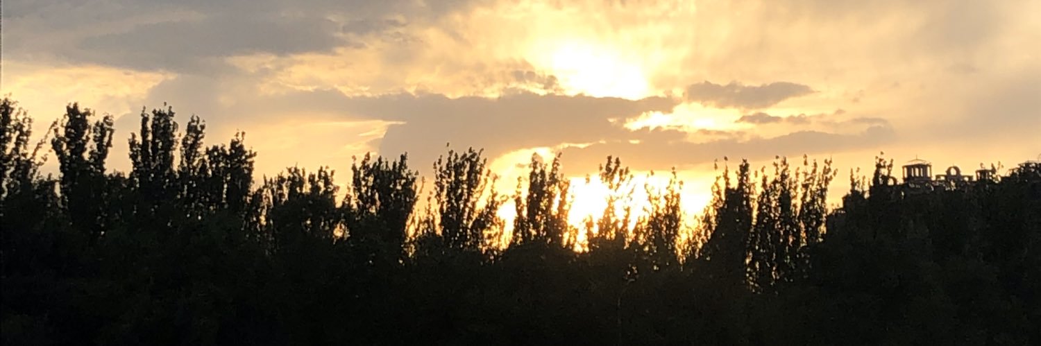 Just_Lee_O's profile banner image