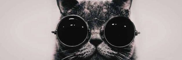 parepichy's profile banner image
