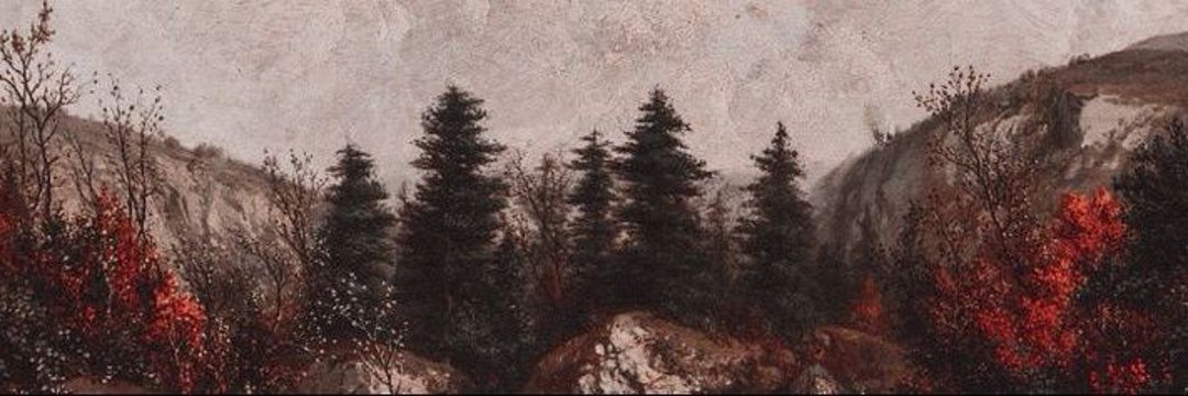 Clapybara's profile banner image