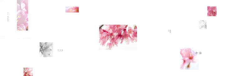 pzelukan's profile banner image