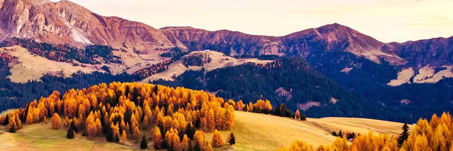 MamourTV's profile banner image