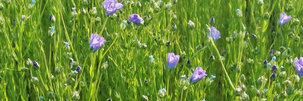 Noveatech Profile Banner