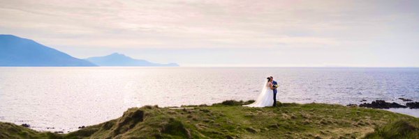 Aine_Bee Profile Banner