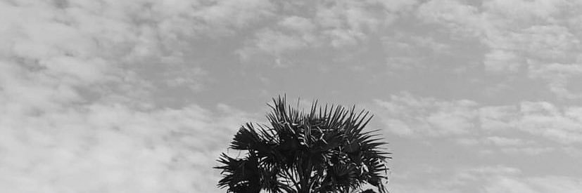 hanifprst's profile banner image