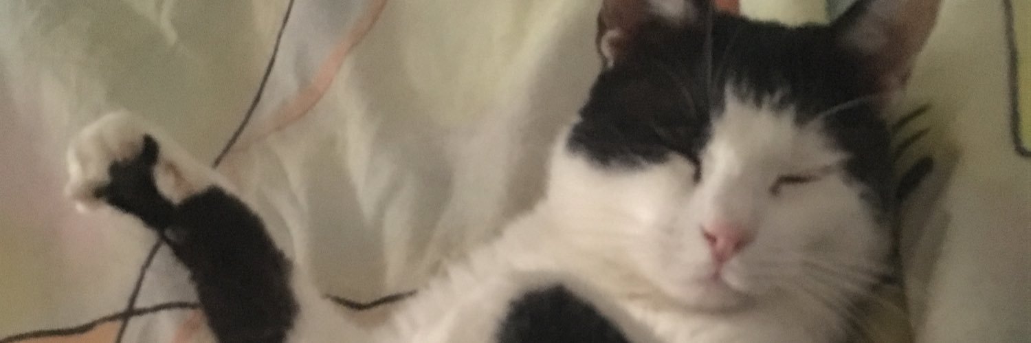 Bina_1982's profile banner image