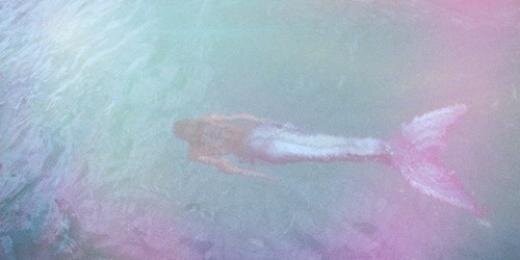Megadwic's profile banner image