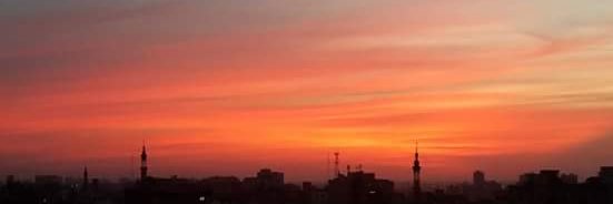 ElSayed Mansour - السيد منصور banner