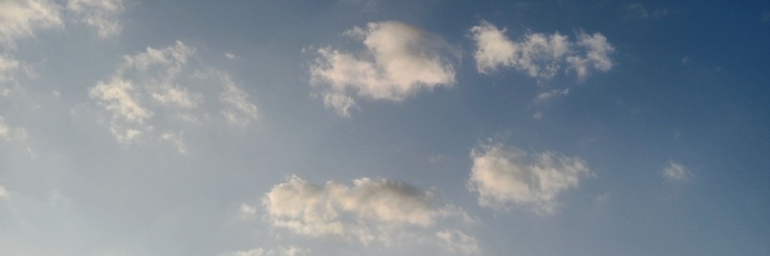 brother banner