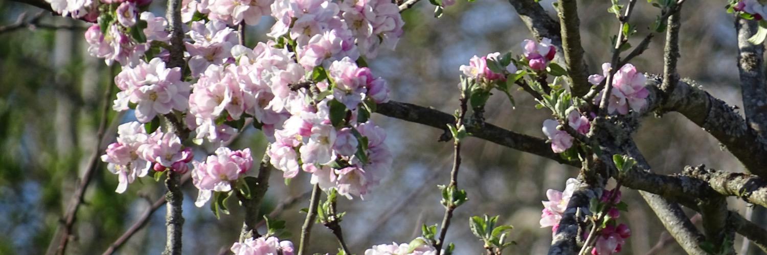 blusky321's profile banner image
