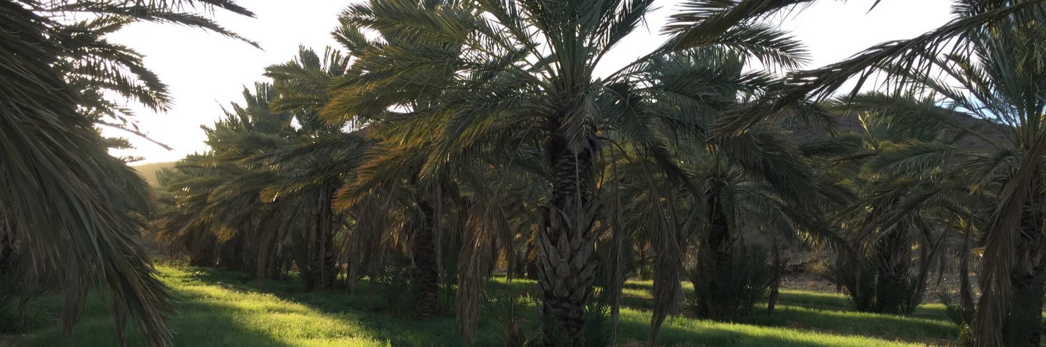 أ.د. سعود بن مستور السلمي banner