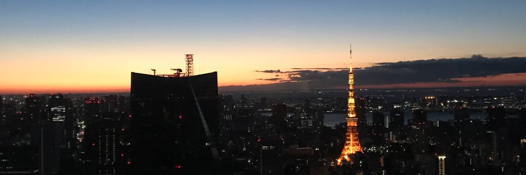 tamchan_mint's profile banner image