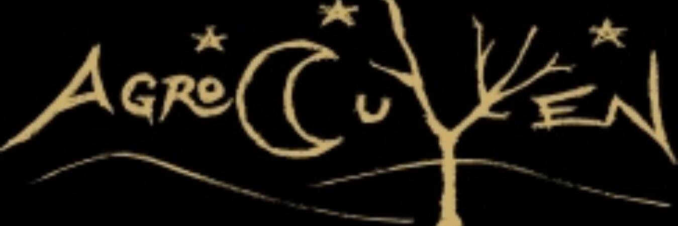 HidromielChile's profile banner image
