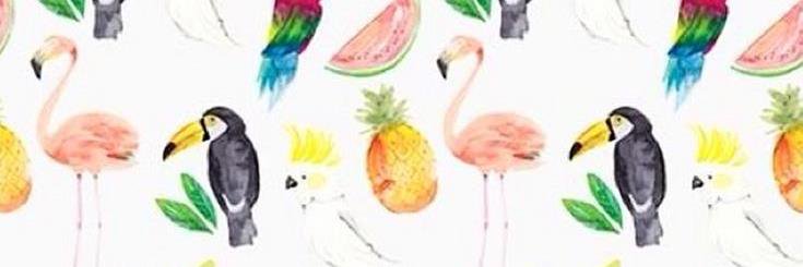 Louken banner