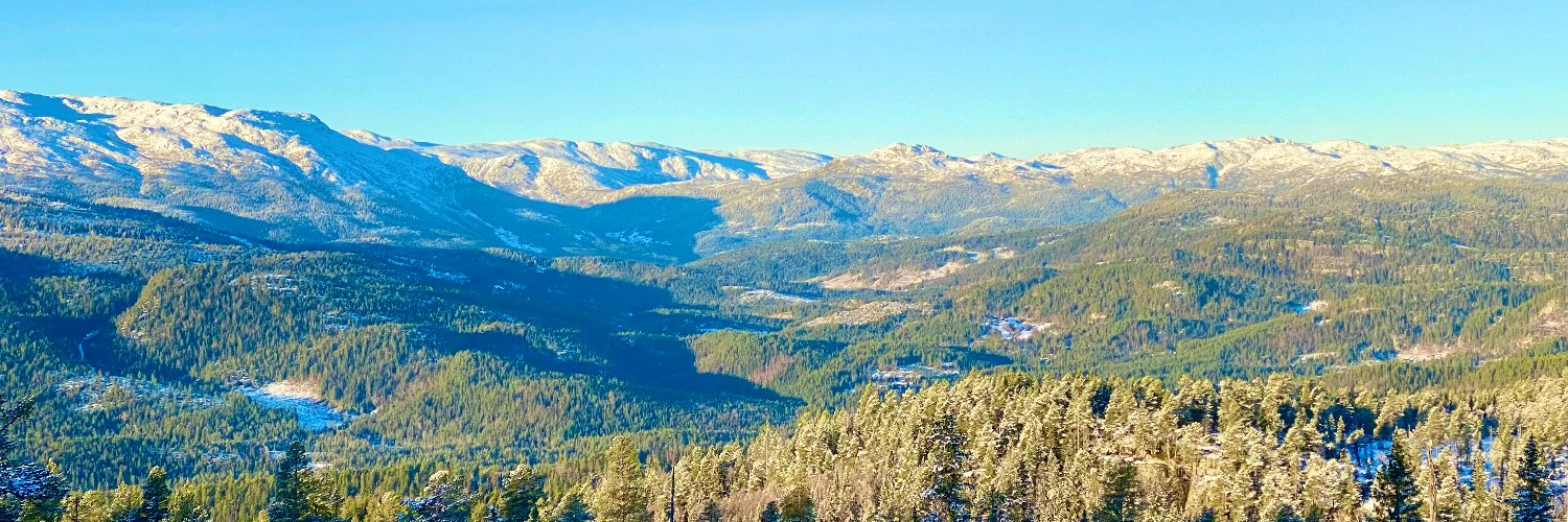 Per Magne Helseth banner