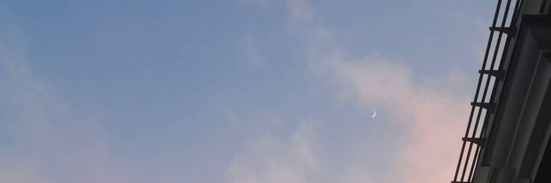 grrrvce's profile banner image