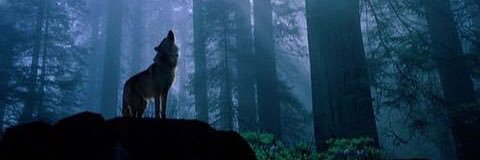 mnt_17's profile banner image