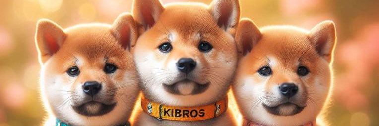 frans879's profile banner image