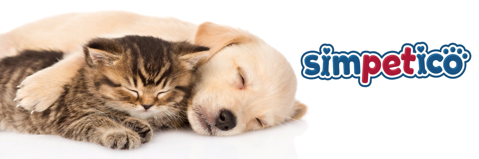 simpeticopets's profile banner image