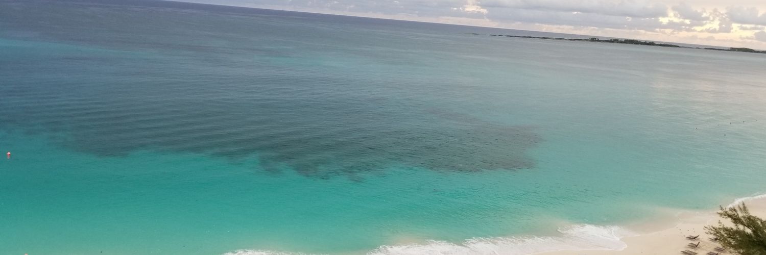 AuthorCAnderson's profile banner image