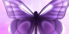 Gracielicious1's profile banner image