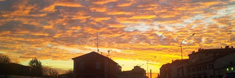 Francesca Di Filippo banner