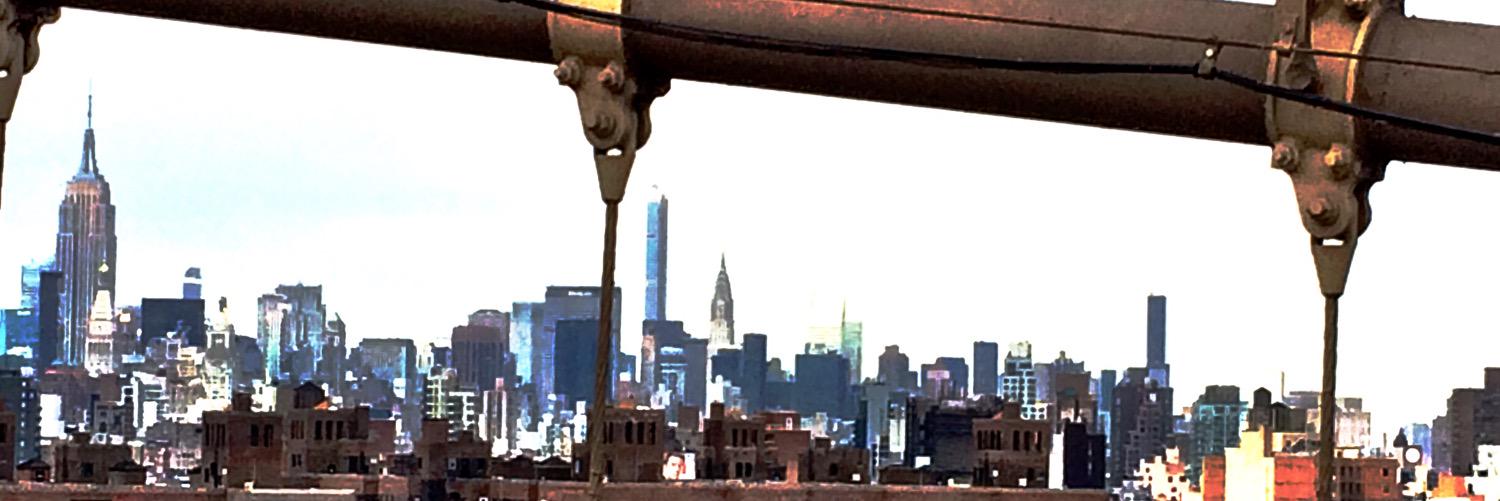 notthatsamfox's profile banner image