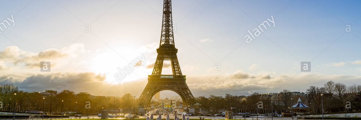 DAILLY Donald banner