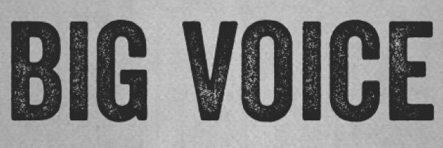 BigVoiceMgment's profile banner image