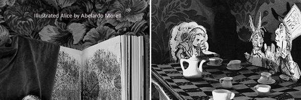 LibInWonderland's profile banner image