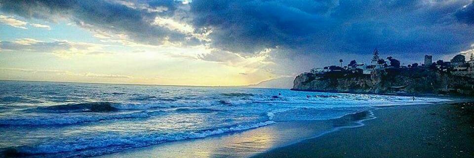 Noemí Alarcón banner