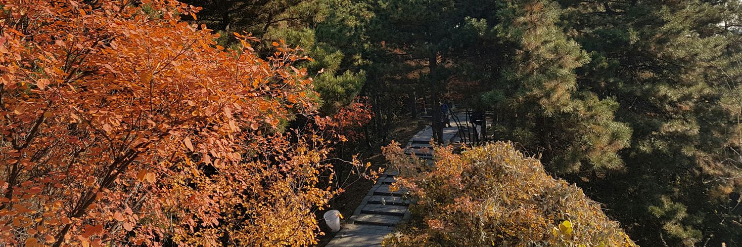 haroonws's profile banner image