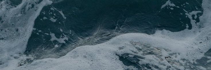 catuppok's profile banner image