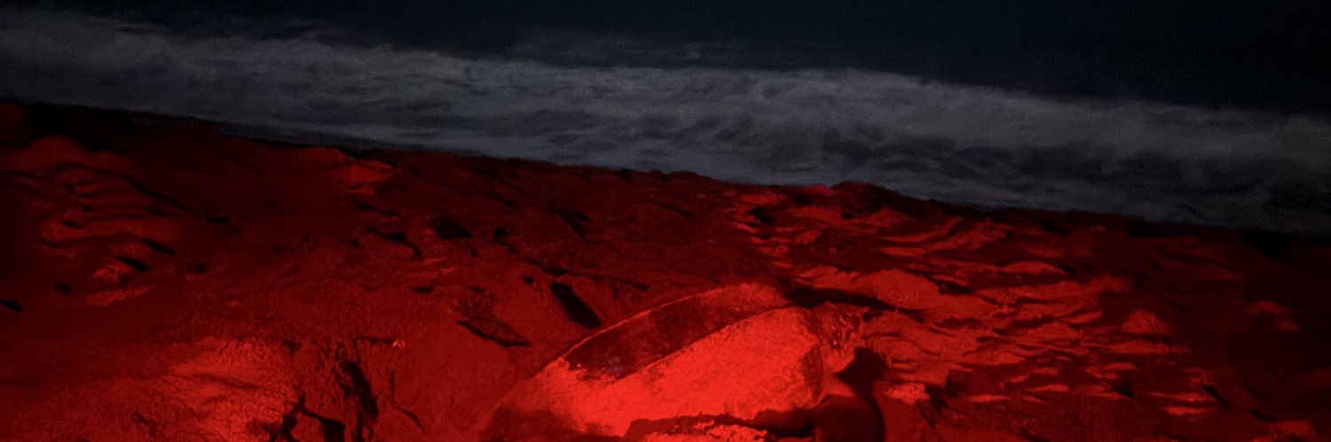 868tibbs's profile banner image