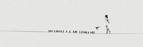 plad_elf's profile banner image